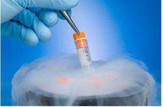 香港验血真的结果图片,试管婴儿冻胚是如何冷冻和解冻的?